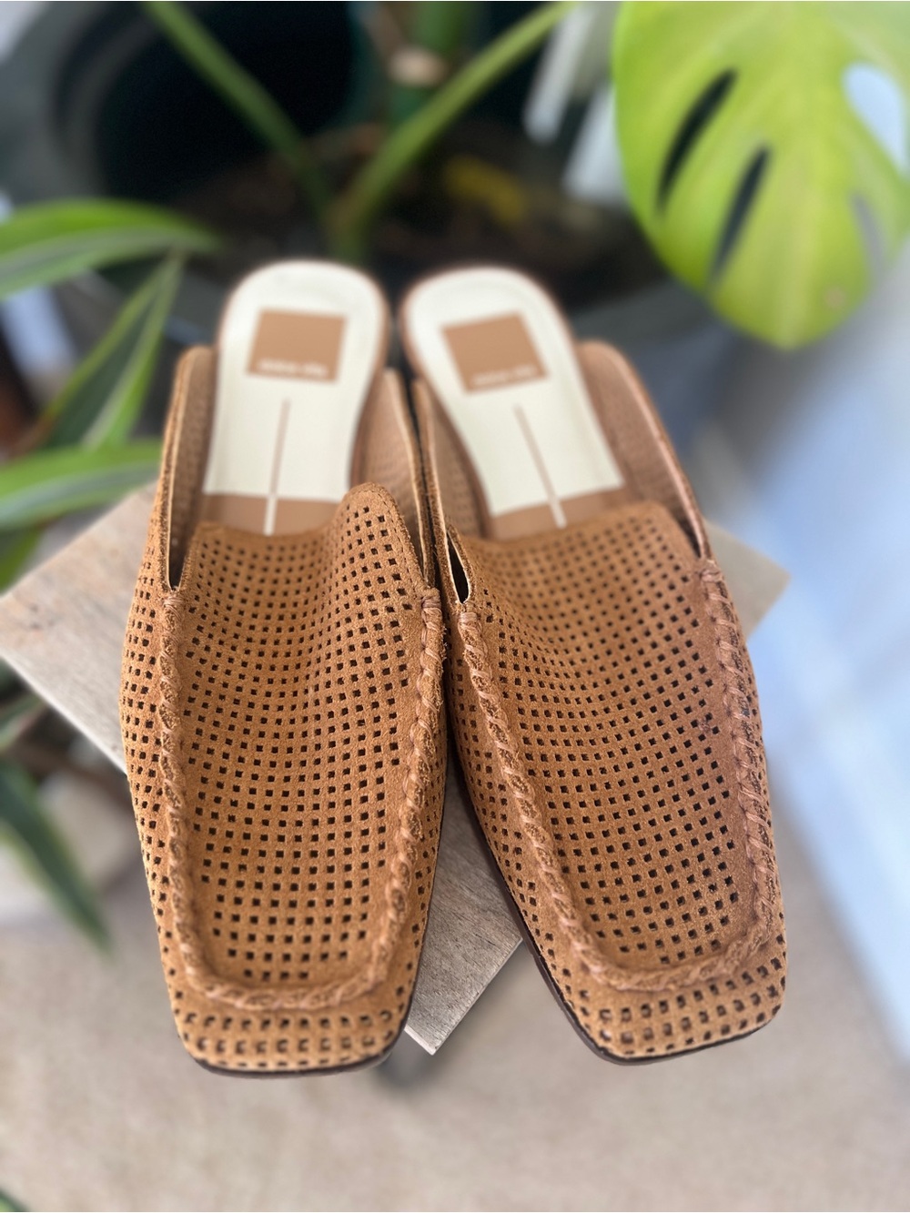 Suede Mesh Mule - Dolce Vita